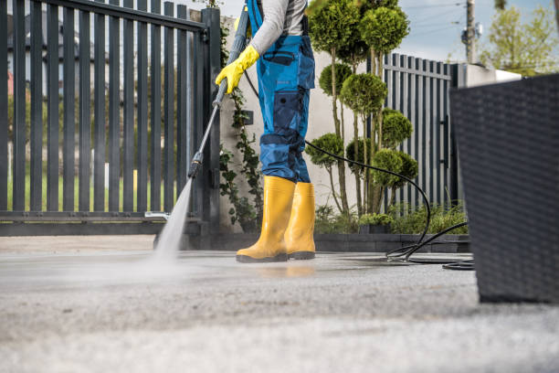 Best Sidewalk and Walkway Cleaning  in Charleston, IL